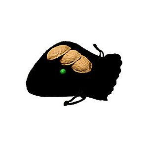 Street Shells by Whit Haydn and Chef Anton - Trick