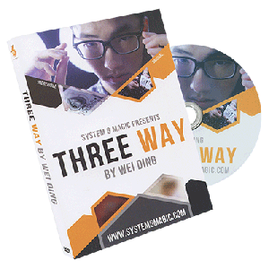 Three Way by Wei Ding & system 6 - DVD