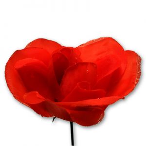 Torch To Rose by Uday - Trick